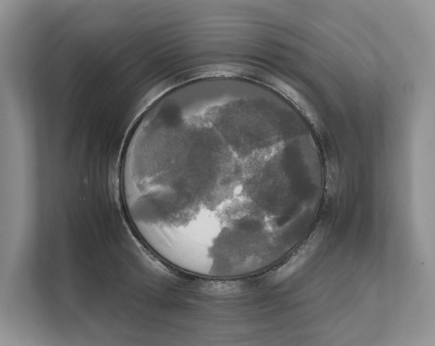 X0000111850802200908201236