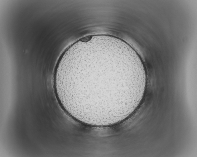 X0000111850805200908201236
