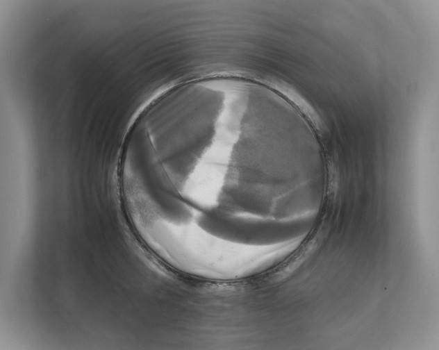 X0000111850806200908201236