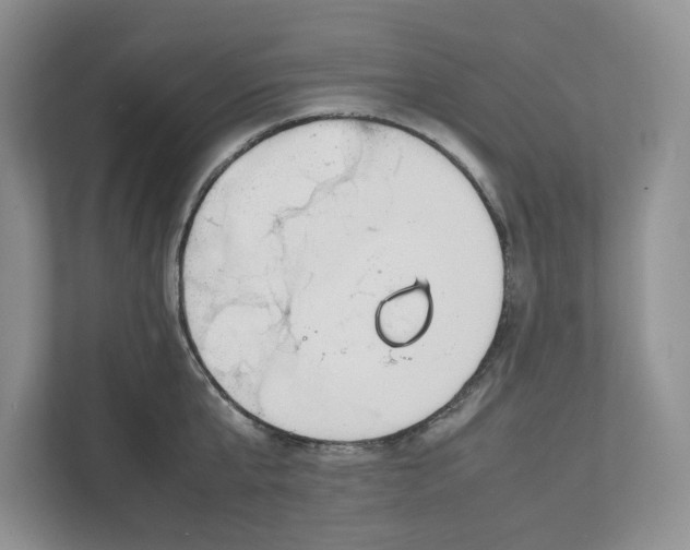 X0000111850807200908201236