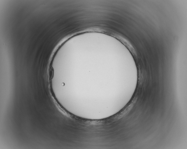 X0000111850808200908201236