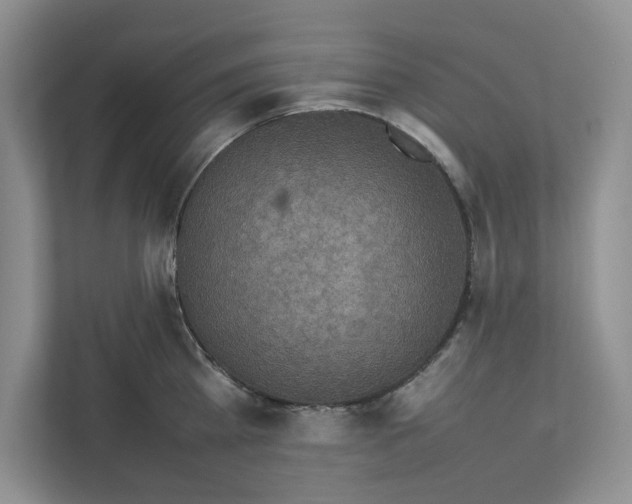 X0000111850809200908201236