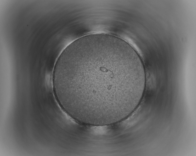 X0000111850810200908201236