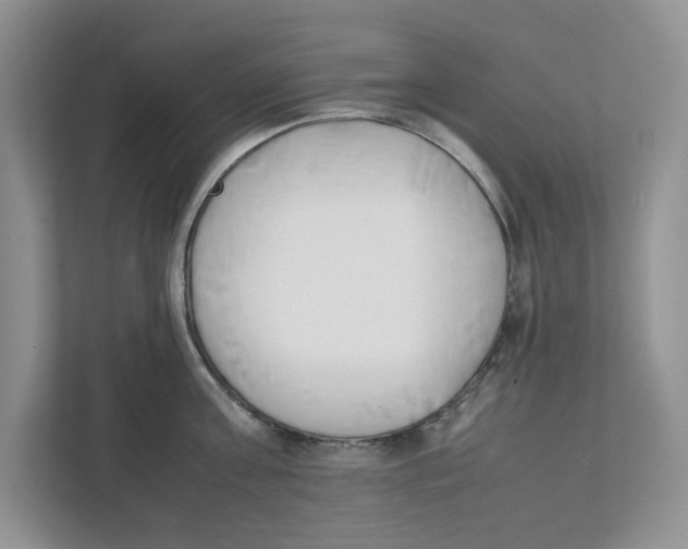 X0000111850811200908201236