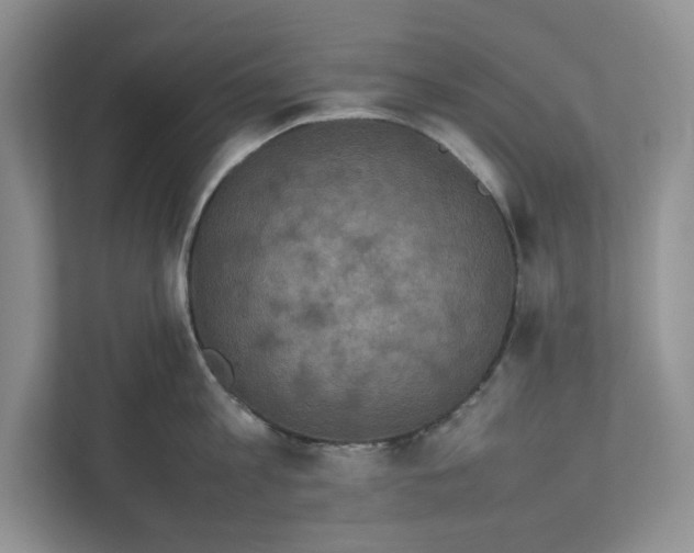 X0000111850813200908201236
