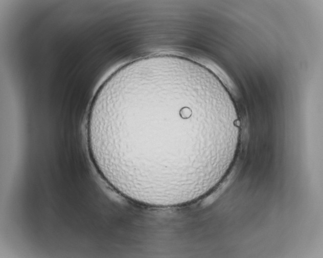 X0000111850814200908201236