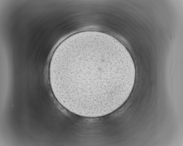 X0000111850816200908201236