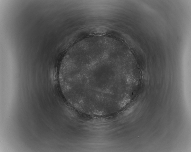 X0000111850818200908201235