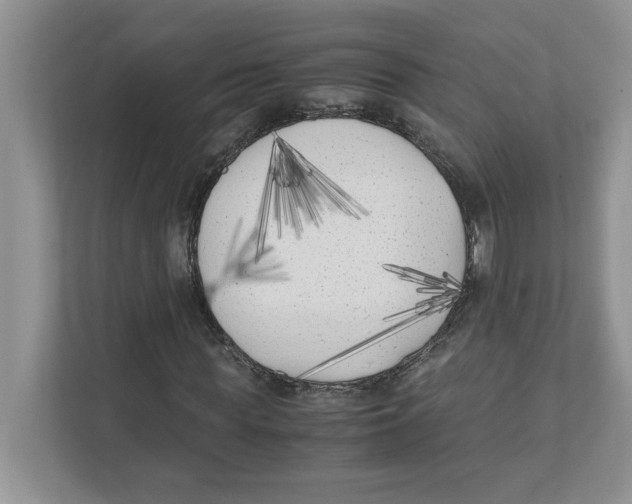 X0000111850819200908201235