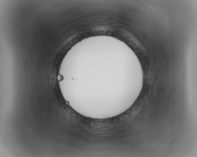 X0000111850821200908201235