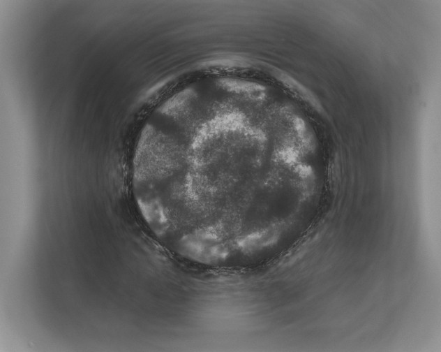 X0000111850822200908201235
