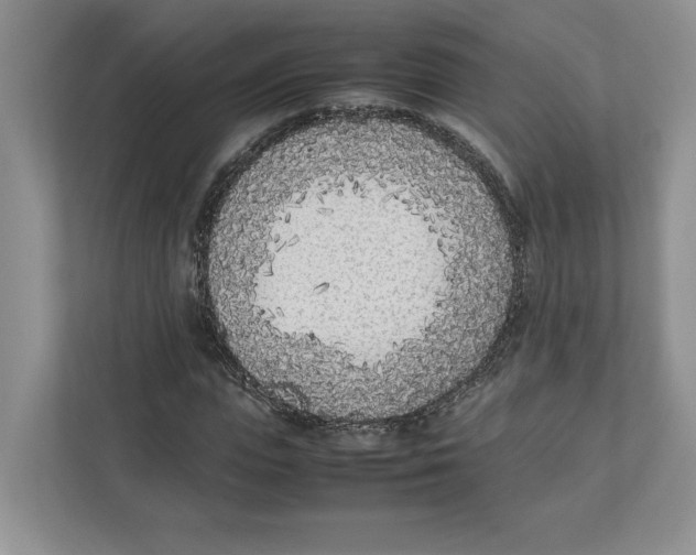X0000111850823200908201235