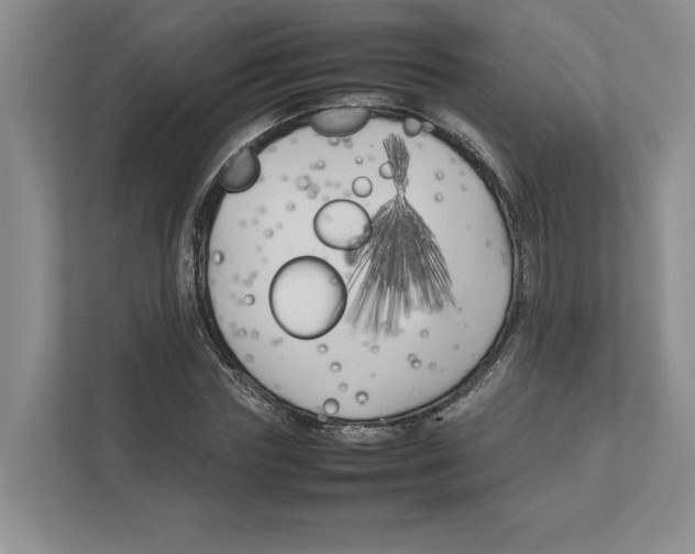 X0000111850827200908201235