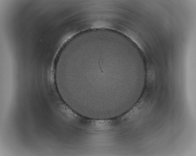 X0000111850832200908201235