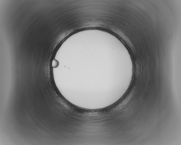 X0000111850834200908201235