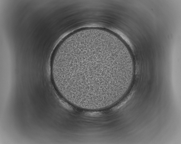X0000111850837200908201235