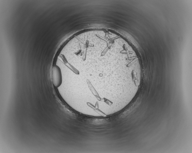 X0000111850839200908201235