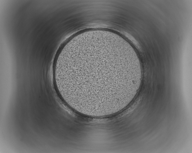 X0000111850840200908201235