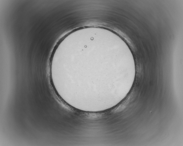 X0000111850848200908201235