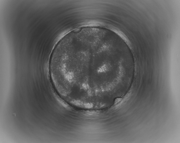 X0000111850850200908201235