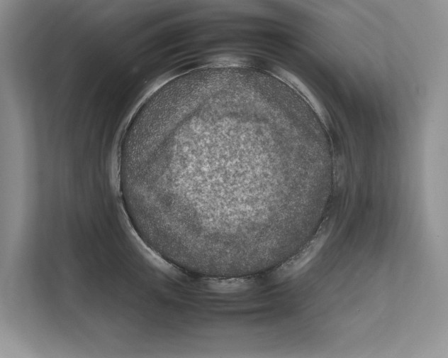 X0000111850851200908201235