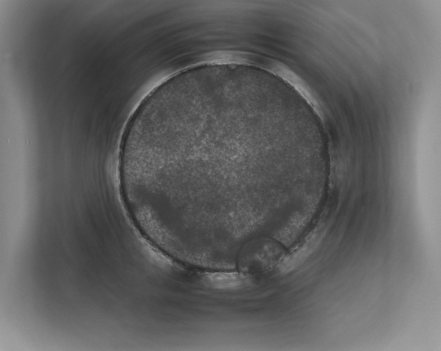 X0000111850853200908201236