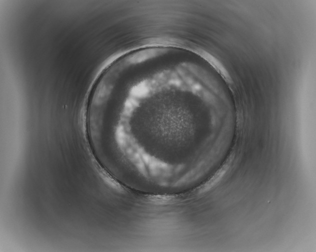 X0000111850854200908201236
