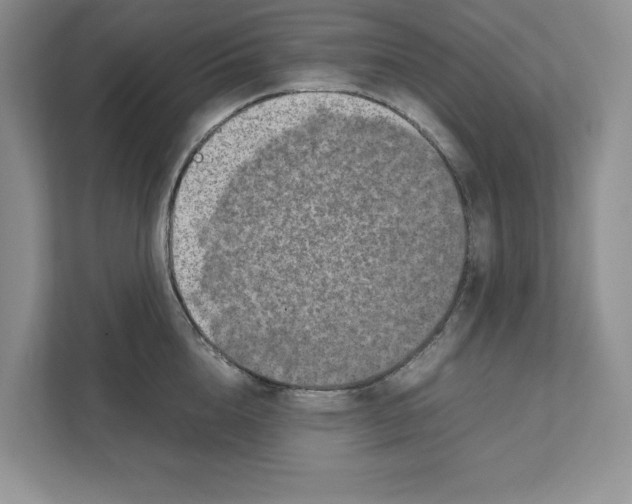 X0000111850856200908201236