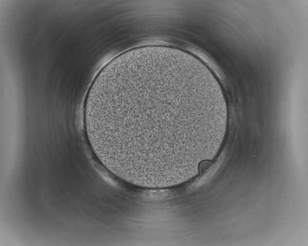 X0000111850858200908201236