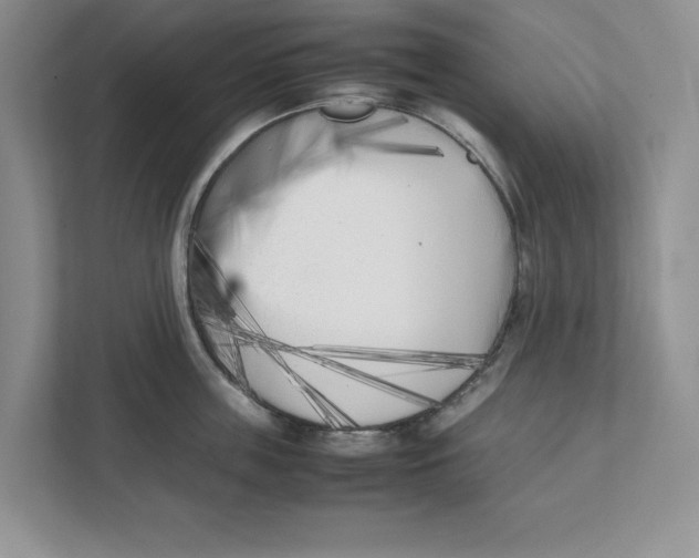X0000111850859200908201236
