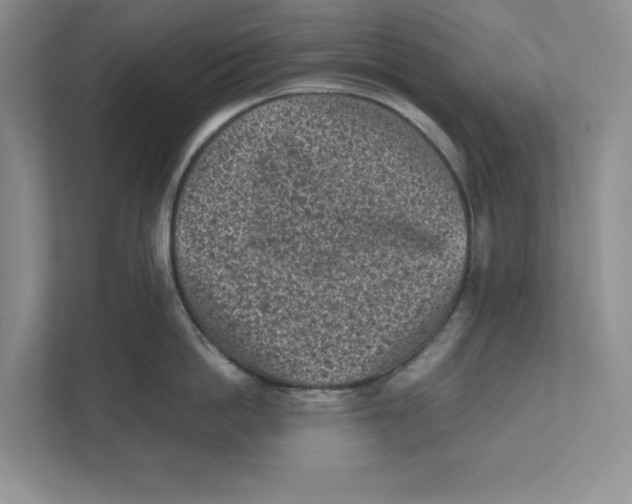 X0000111850862200908201236