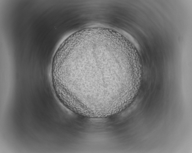 X0000111850863200908201236