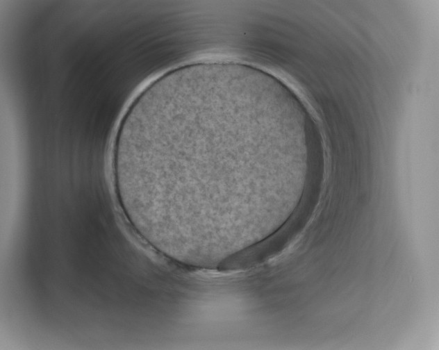 X0000111850864200908201236