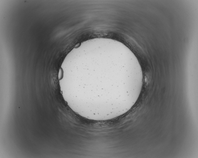 X0000111850867200908201235