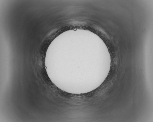 X0000111850869200908201235