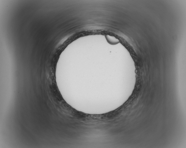 X0000111850871200908201235