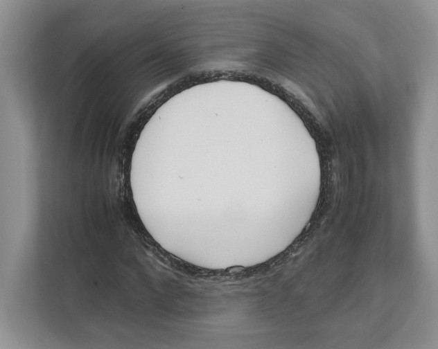 X0000111850872200908201235
