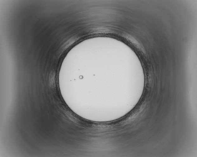 X0000111850873200908201235