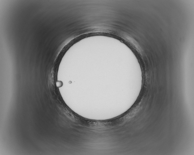 X0000111850875200908201235