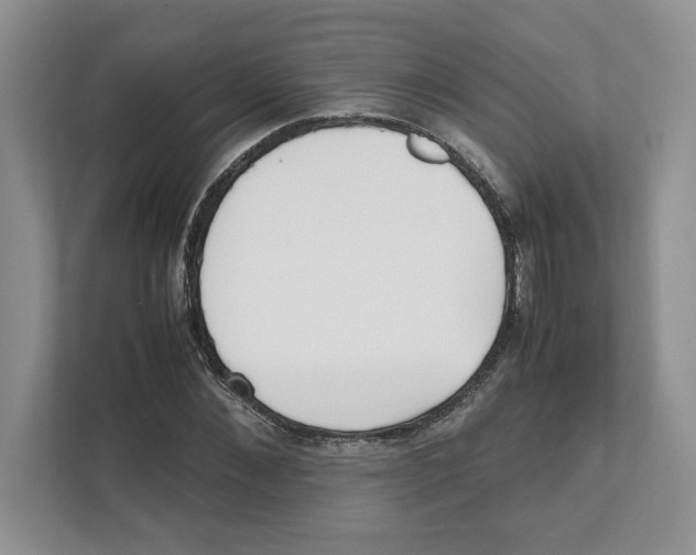 X0000111850876200908201235