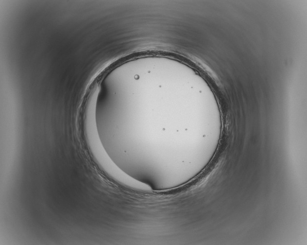 X0000111850877200908201235