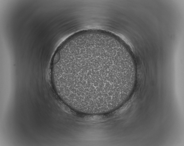 X0000111850879200908201235