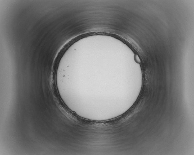 X0000111850880200908201235