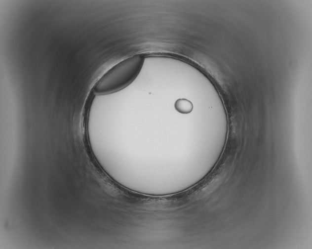 X0000111850885200908201235