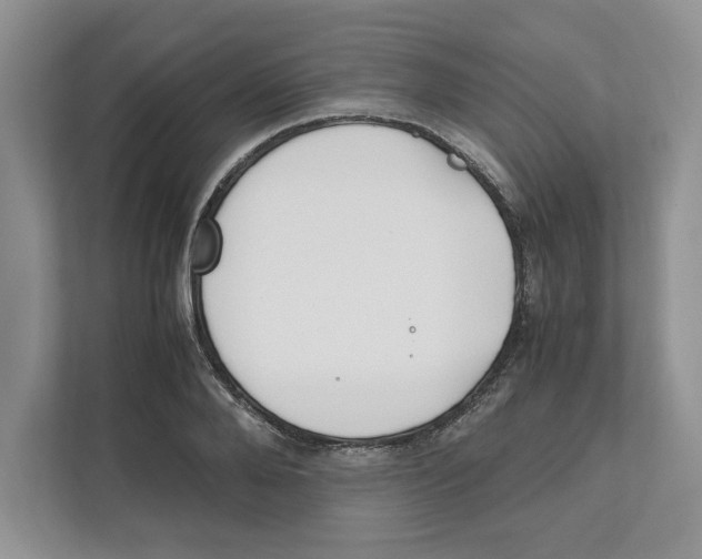 X0000111850888200908201235