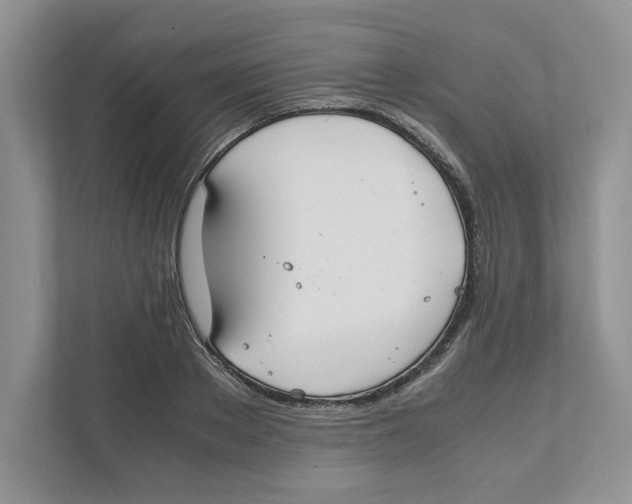 X0000111850889200908201235