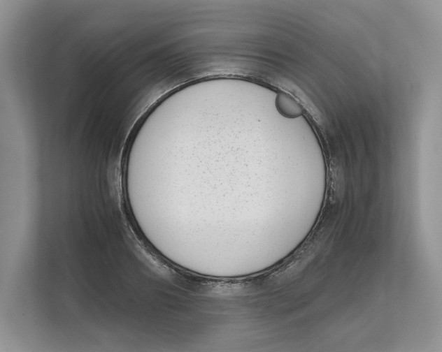 X0000111850890200908201235