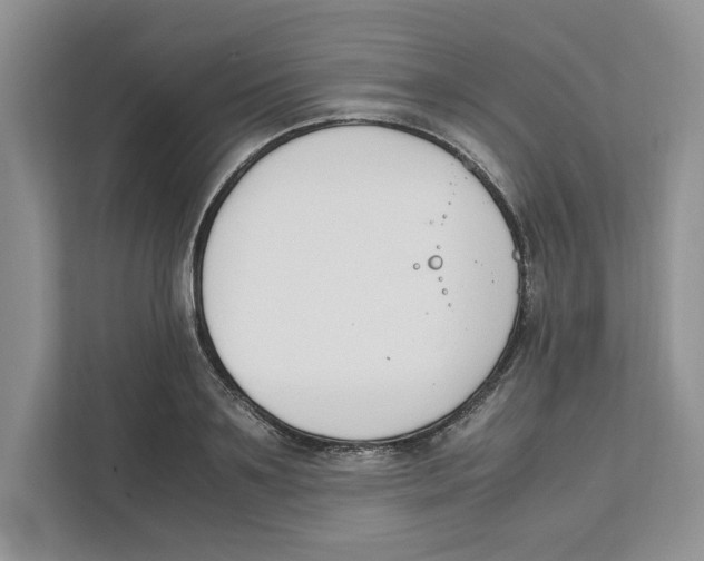 X0000111850891200908201235