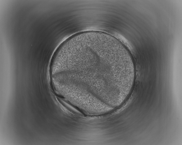 X0000111850892200908201235