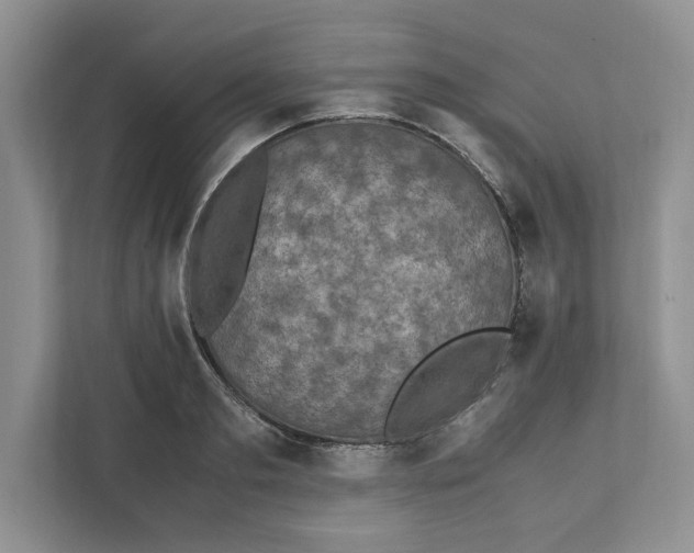 X0000111850893200908201235